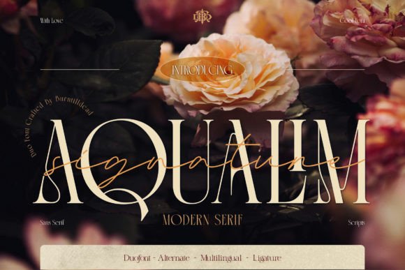 Aqualim Signature: The Font That Made My Brand Look Expensive