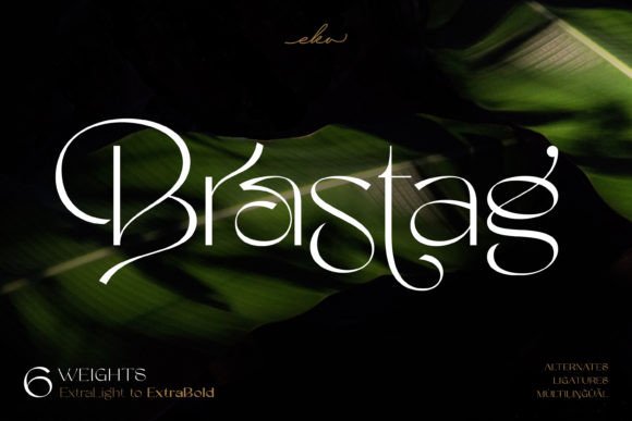 Brastag: A Versatile Display Typeface for Web Design