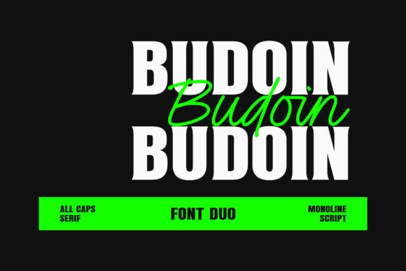 Budoin Font Duo: A Designer's Practical Review
