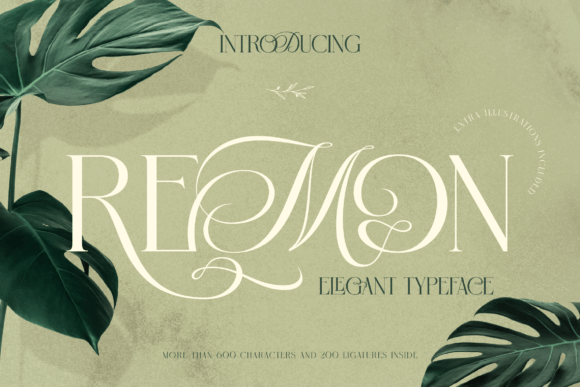Remon: A Craft Font for Elegant Product Presentation