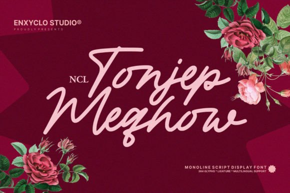 Tonjep Meqhow: A Masterful Display Font for Digital Branding