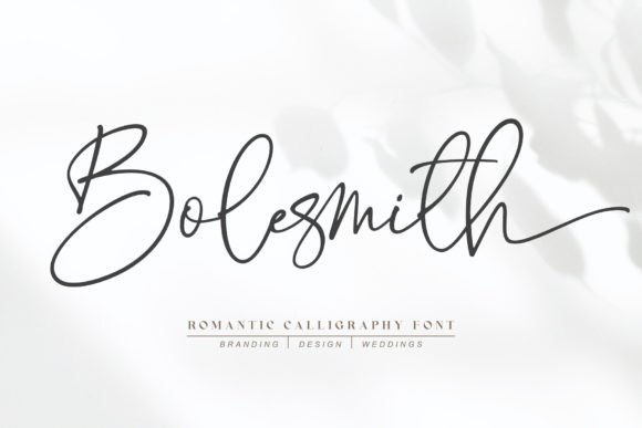 Why Bolesmith Font Became My Business's Signature